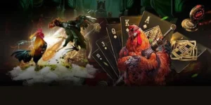 Tuyệt Chiêu Chơi Đá Gà GA28 Tại AZ888 Để Tối Ưu Hóa Lợi Nhuận